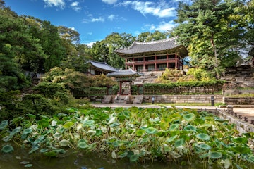 Amazing palace among the green vegetation in a blue sky day in Changgyeonggung in Seoul, South Korea