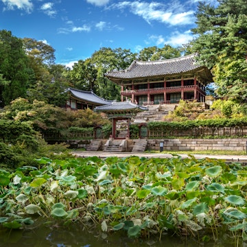 Amazing palace among the green vegetation in a blue sky day in Changgyeonggung in Seoul, South Korea