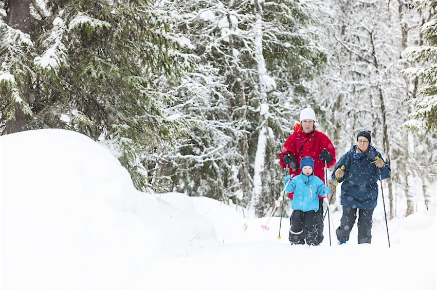 Multigenerational family with two adult women and a male child cross-country skiing through snowy forest 