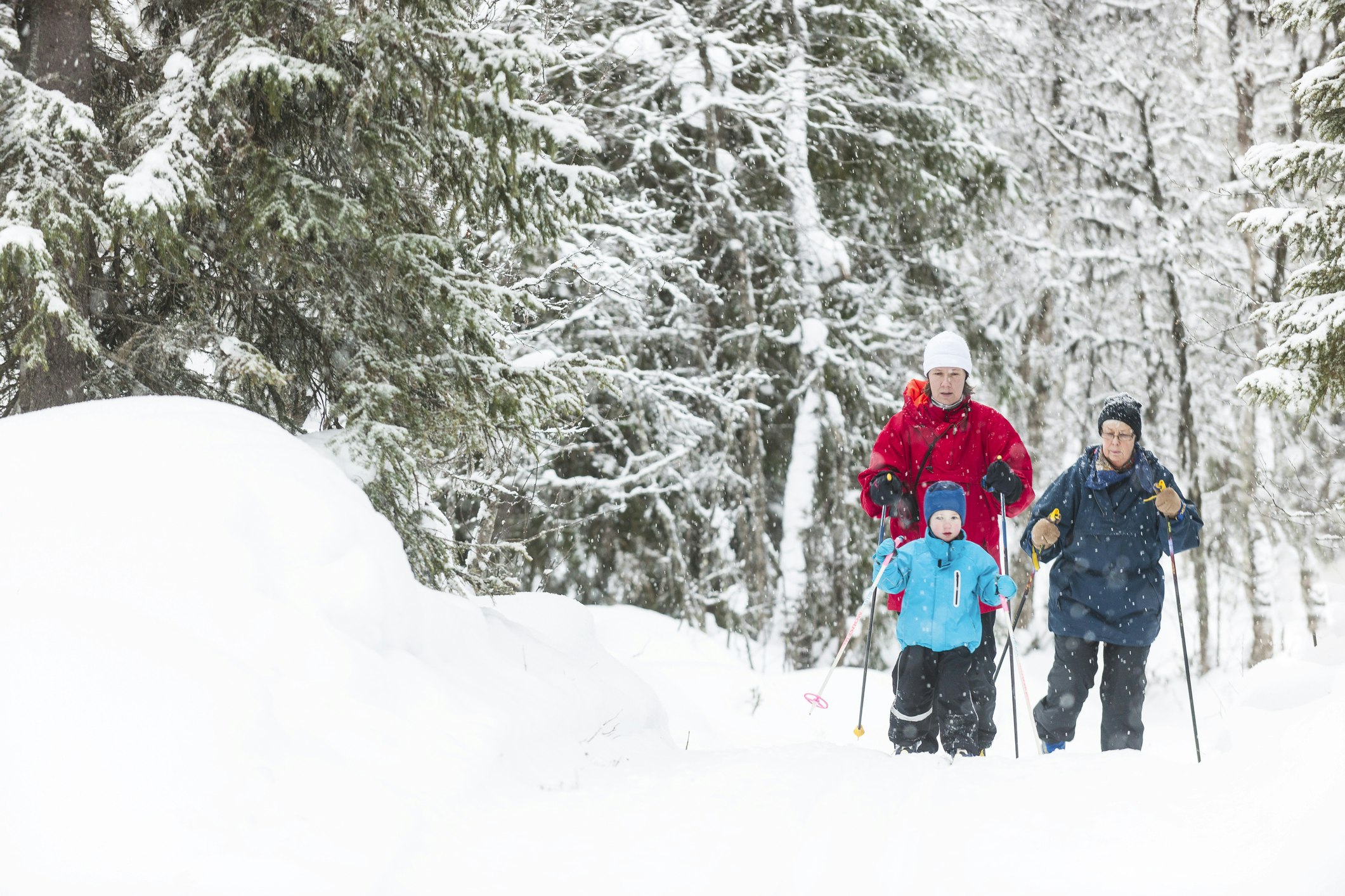 Multi-generational family of two adult women and a male child cross-country ski through snowy woodland 