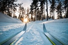 Cross-country skis on a track through snowy woodland