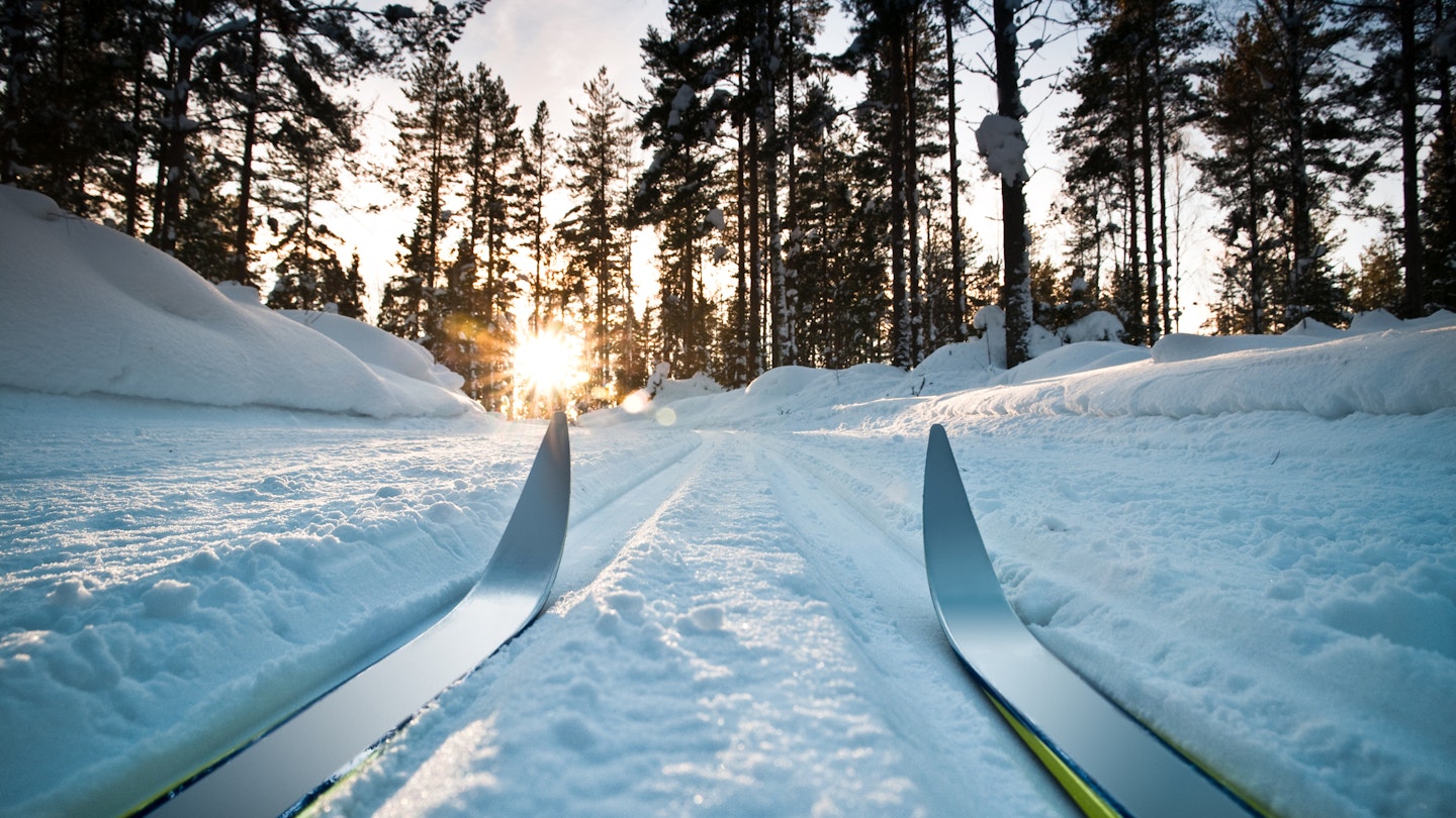 Cross-country skis on a track through snowy woodland