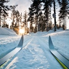 Cross-country skis on a track through snowy woodland