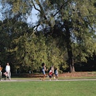 A family visits Piedmont Park, Atlanta, Georgia, USA