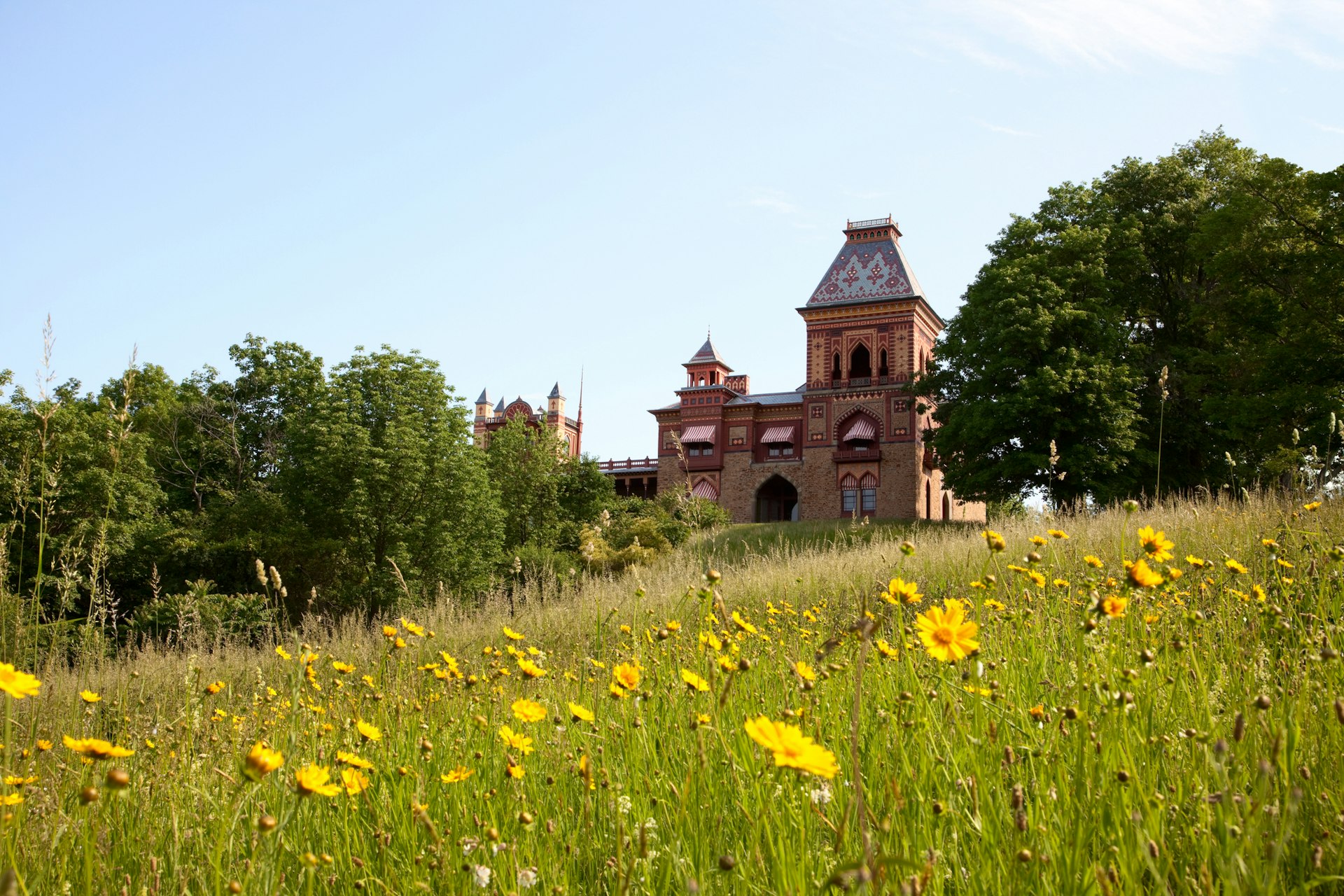 Olana, the estate of Hudson River School artist Frederic Edwin Church, in a meadow full of blooming yellow flowers