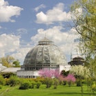 The historic and beautiful Belle Isle Conservatory in Detroit, Michigan. © RiverNorthPhotography / Getty Images
