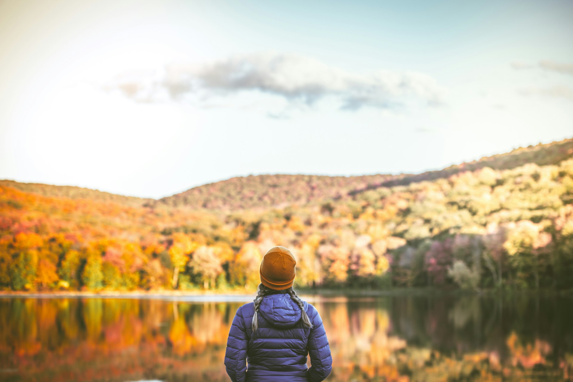 A person with braided hair looks towards trees covered in fall foliage 