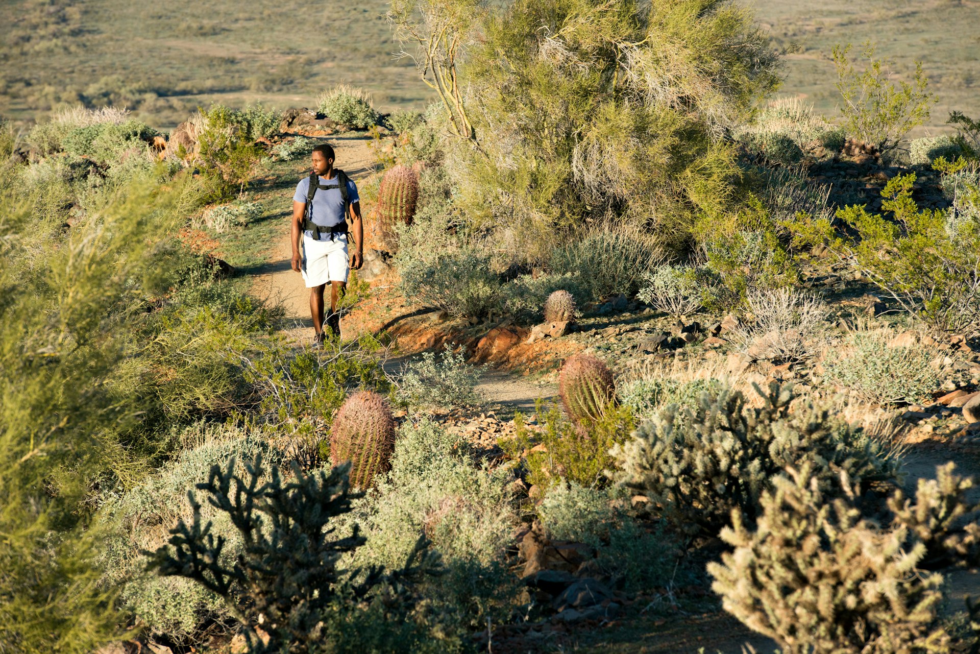 Young man hiking outdoors on a trail in a desert scene. 
