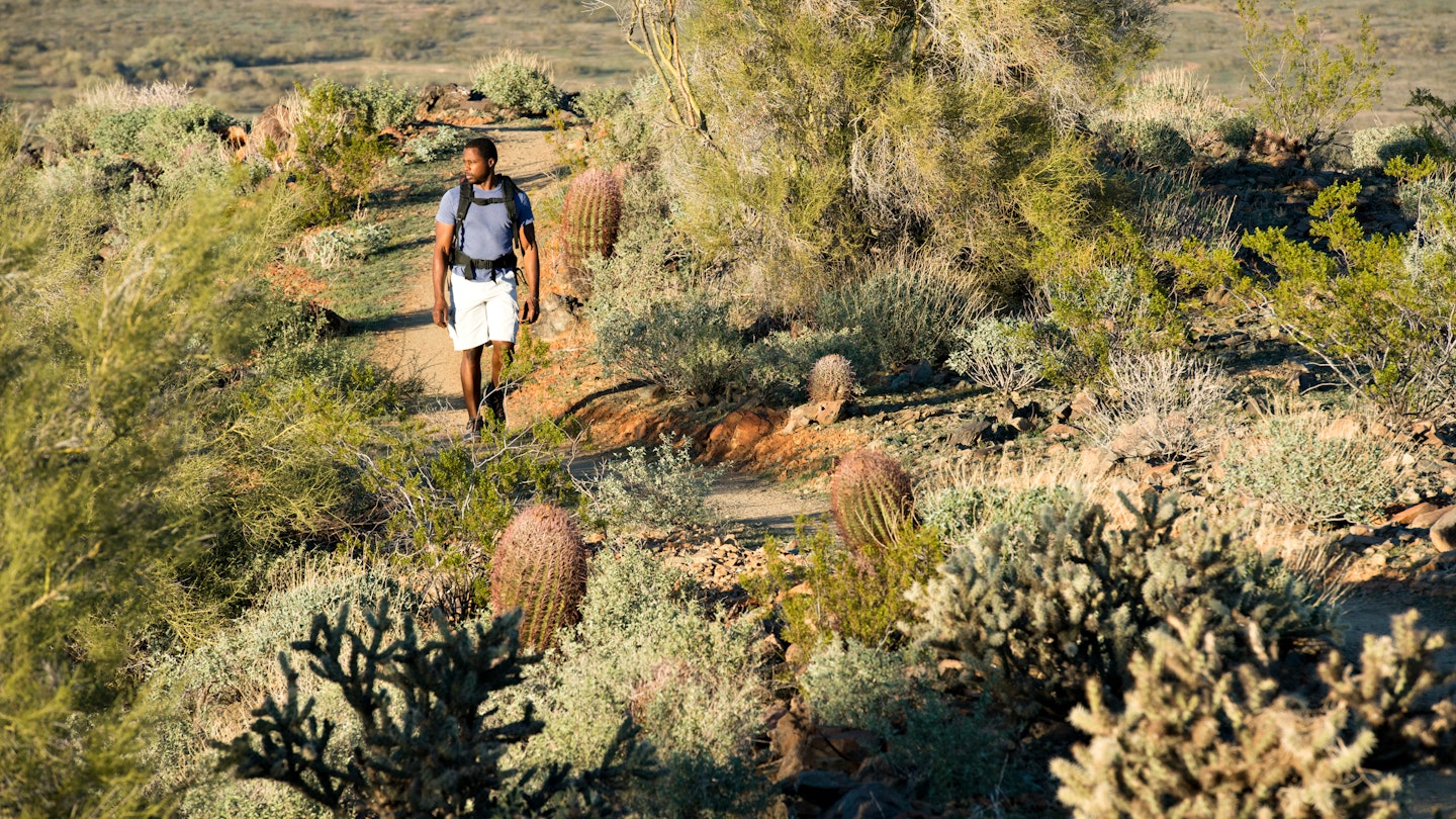 Young man hiking outdoors on a trail at Phoenix Sonoran Preserve in Phoenix, Arizona.