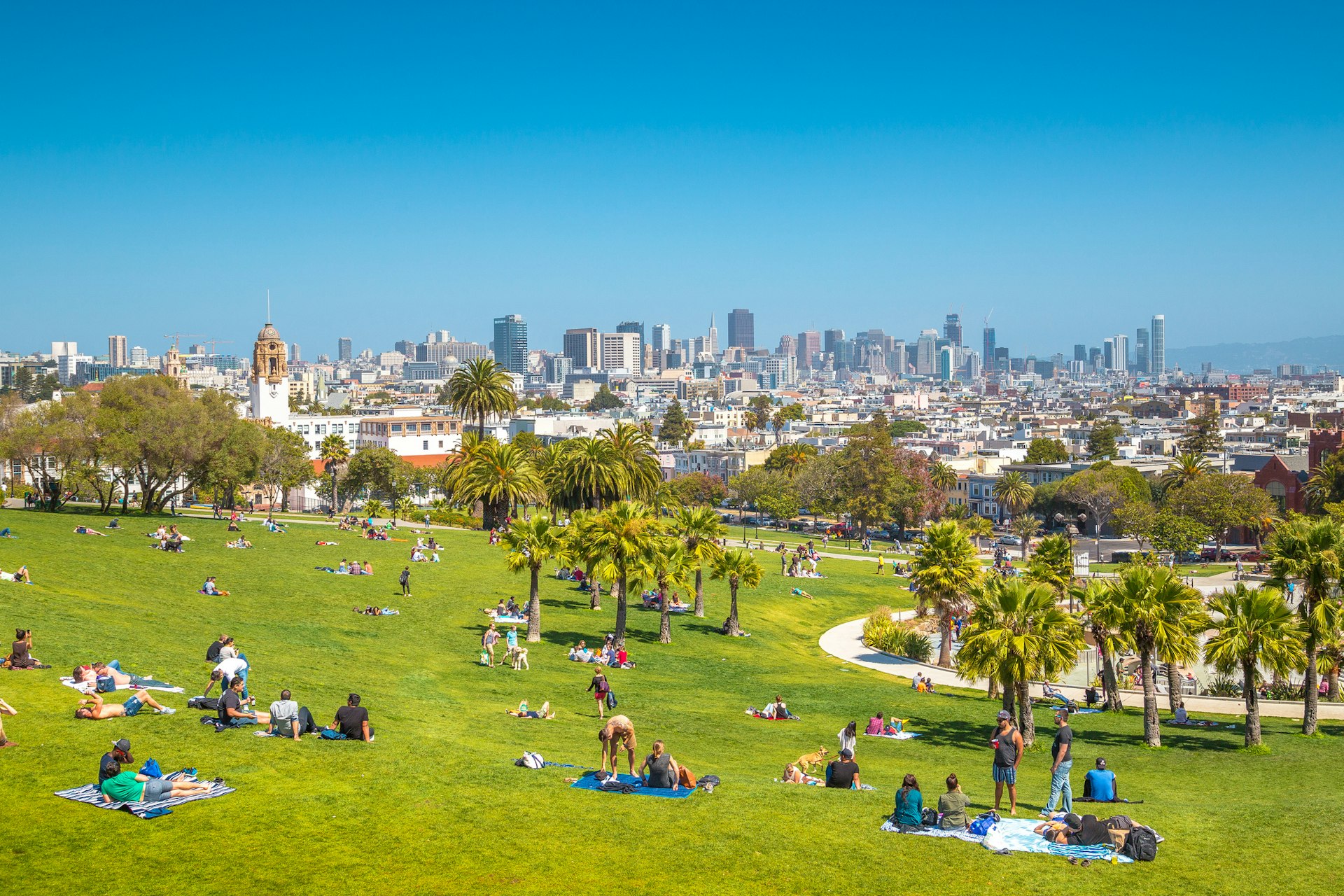 Groups of people and individuals sit on very green grass in hilly parkland overlooking a city landscape