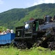 The Durbin Rocket train chugs through West Virginia. 