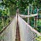 For those not afraid of height, walk on narrow and swinging rope bridges built on top of towering sky trees in Parashorea Scenic Zone of Xishuangbanna National Tropical Rainforest Park, located in Mengla county, Xishuangbanna prefecture @ Yunnan province