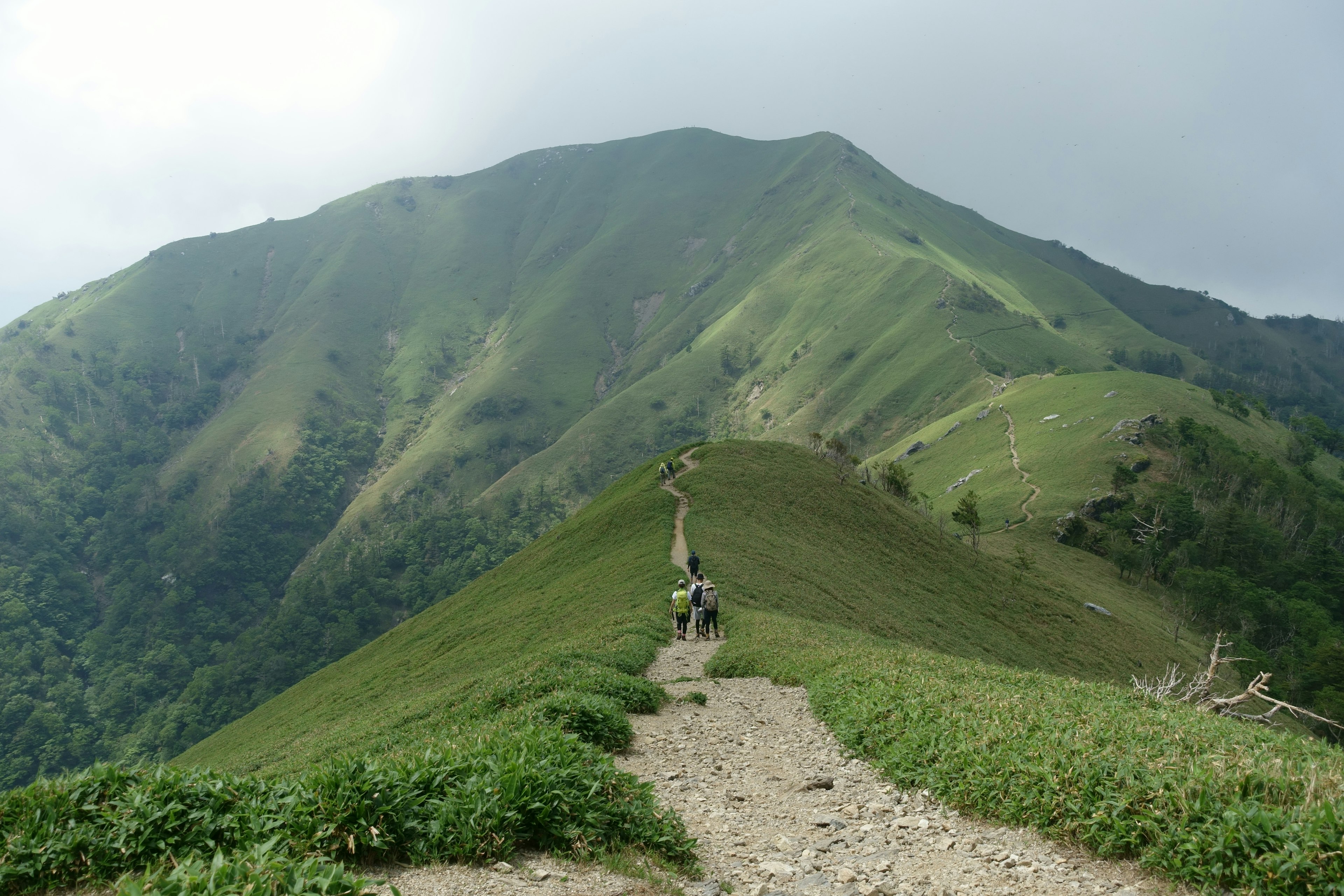 A wide-angle shot of people walking a grass-lined trail on Mount Tsurugi