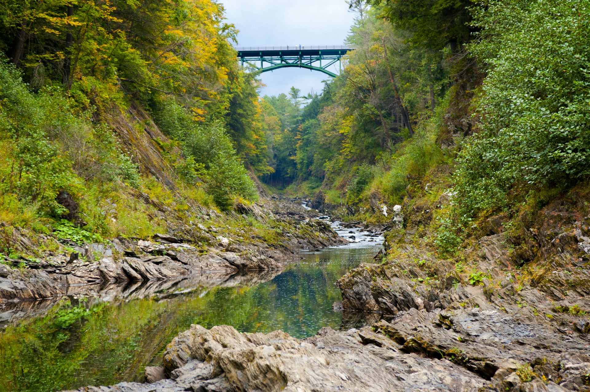 A river running through a tree-lined gorge