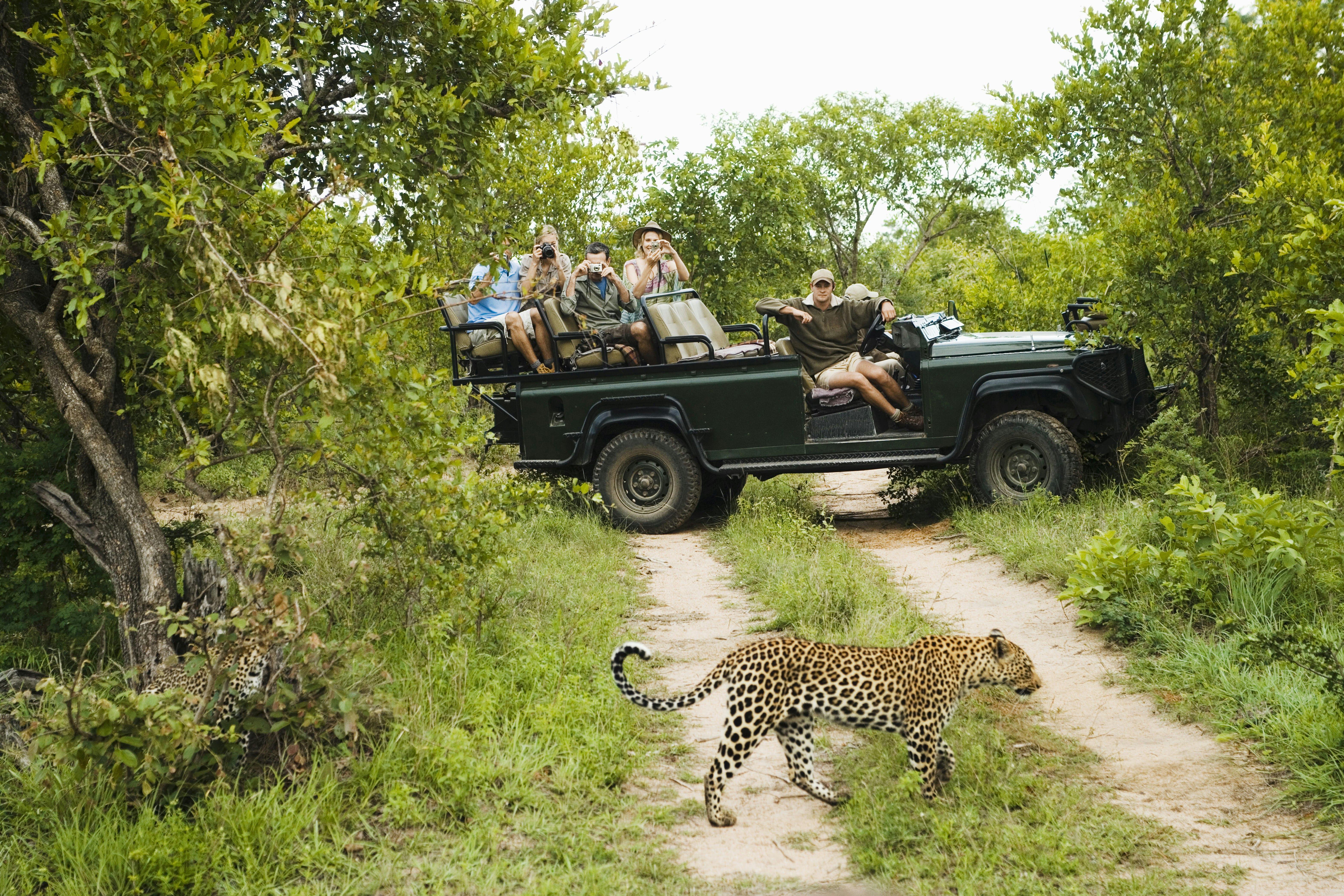 Best safari in South Africa