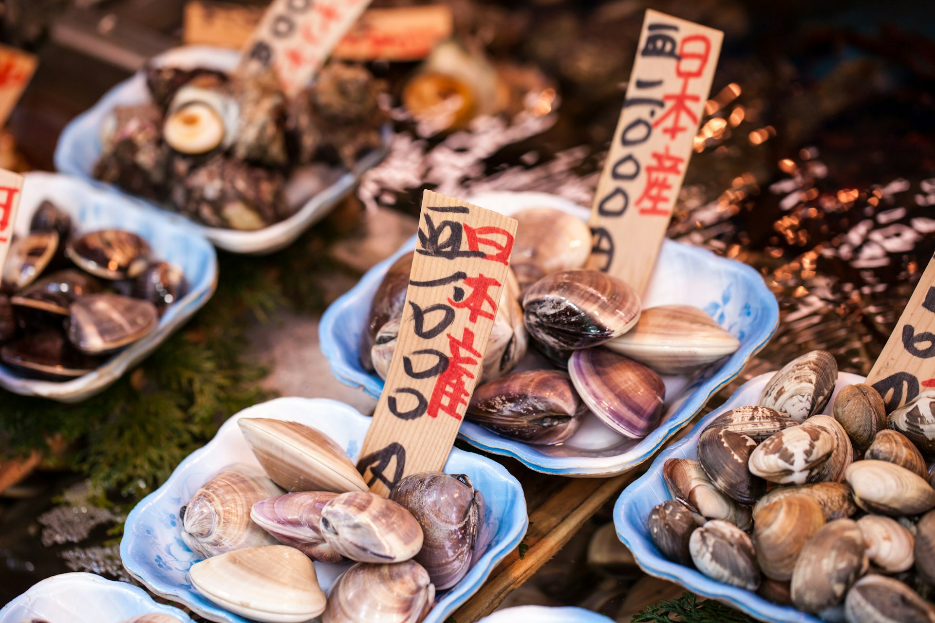 Fresh clams and seafood sit on a table in a Japanese fish market. 
