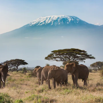 Mt. Kilimanjaro from Amboseli National Park.