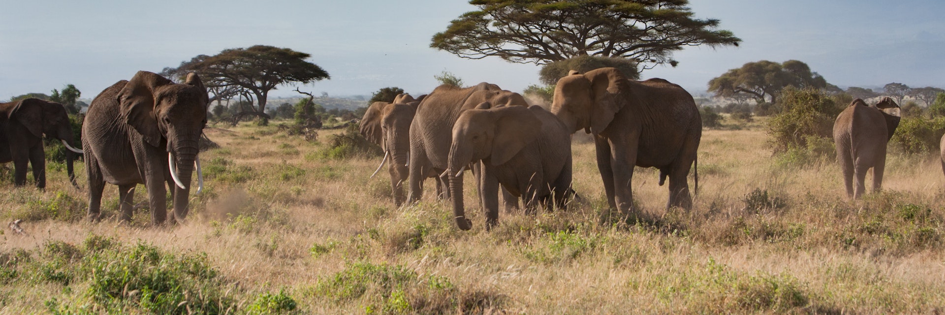 Mt. Kilimanjaro from Amboseli National Park.