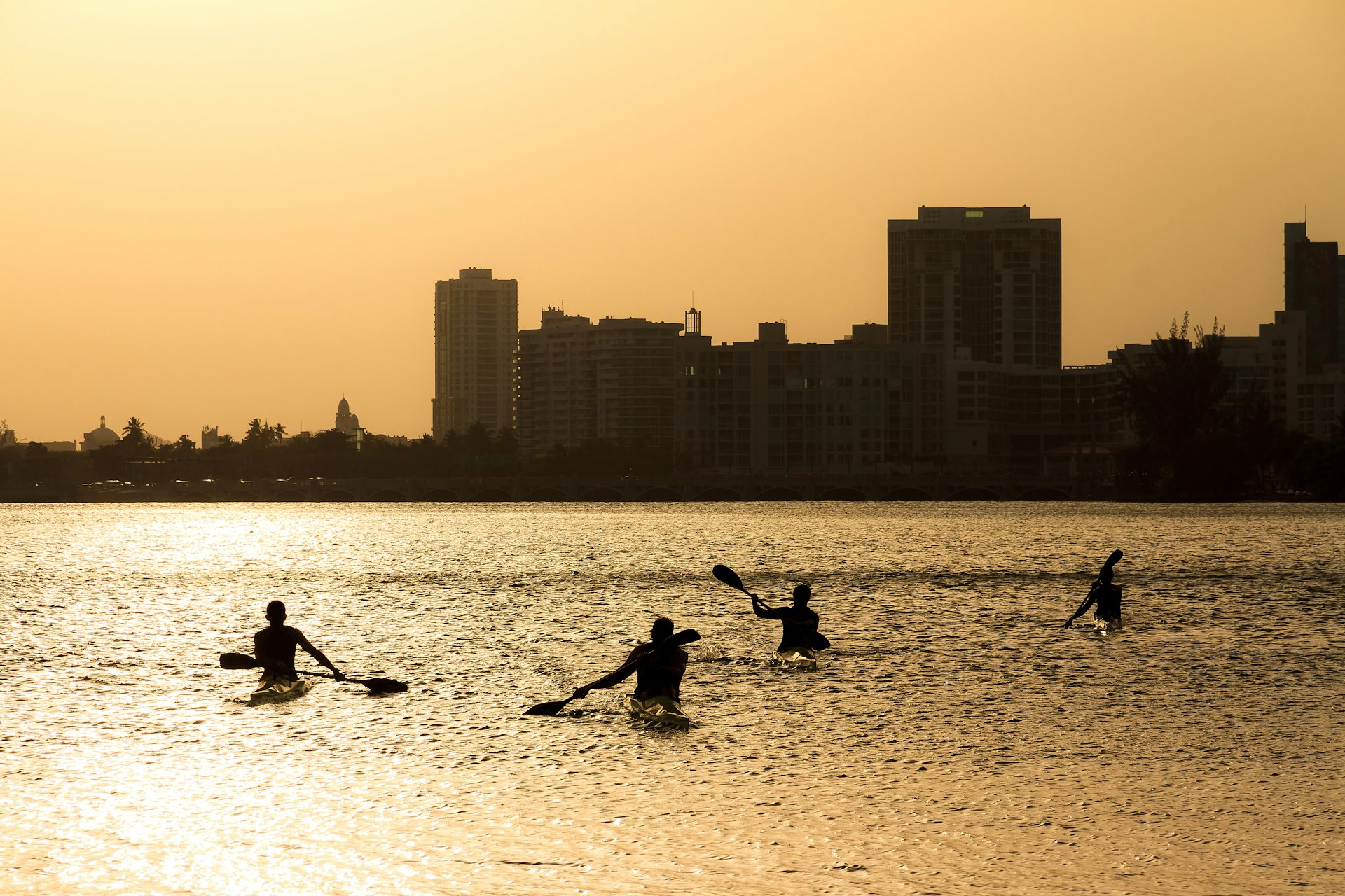Silhouette's of people canoeing during sunset at Condado Lagoon in San Juan. 