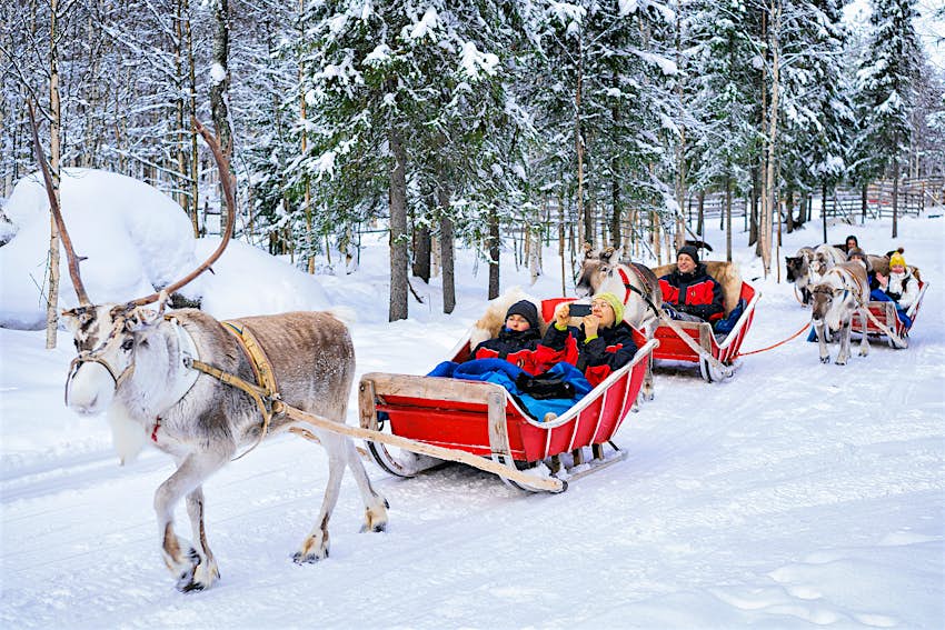 Žmonės šiaurės elnių traukiamų rogių karavano safaryje per žiemos mišką Rovaniemyje, Laplandijoje, Suomijoje