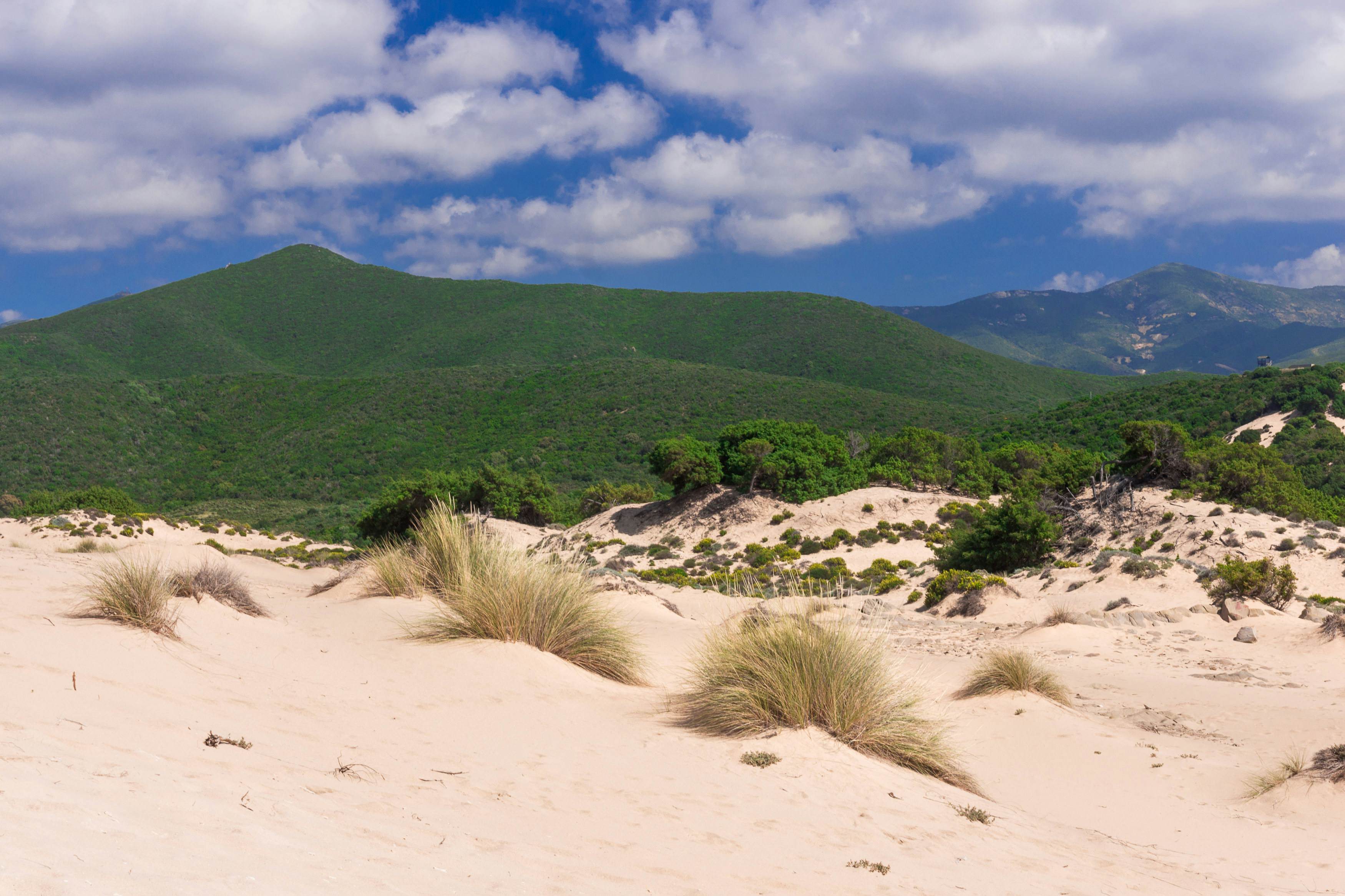 Sand dunes of Piscinas.
