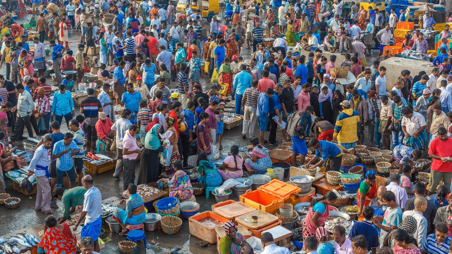 Nov 20, 2016: Crowded Kasimedu fish market in Chennai.
