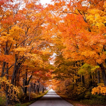 Fall in Door County Wisconsin