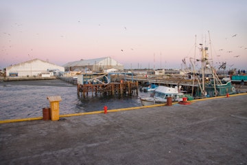Port of Puerto San Carlos, Baja California Sur, Mexico