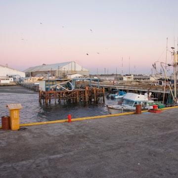 Port of Puerto San Carlos, Baja California Sur, Mexico