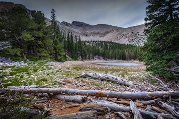 This is a distant capture of Stella Lake in Great Basin National Park in Nevada, with Wheeler Peak in the background. Logs litter the shoreline.