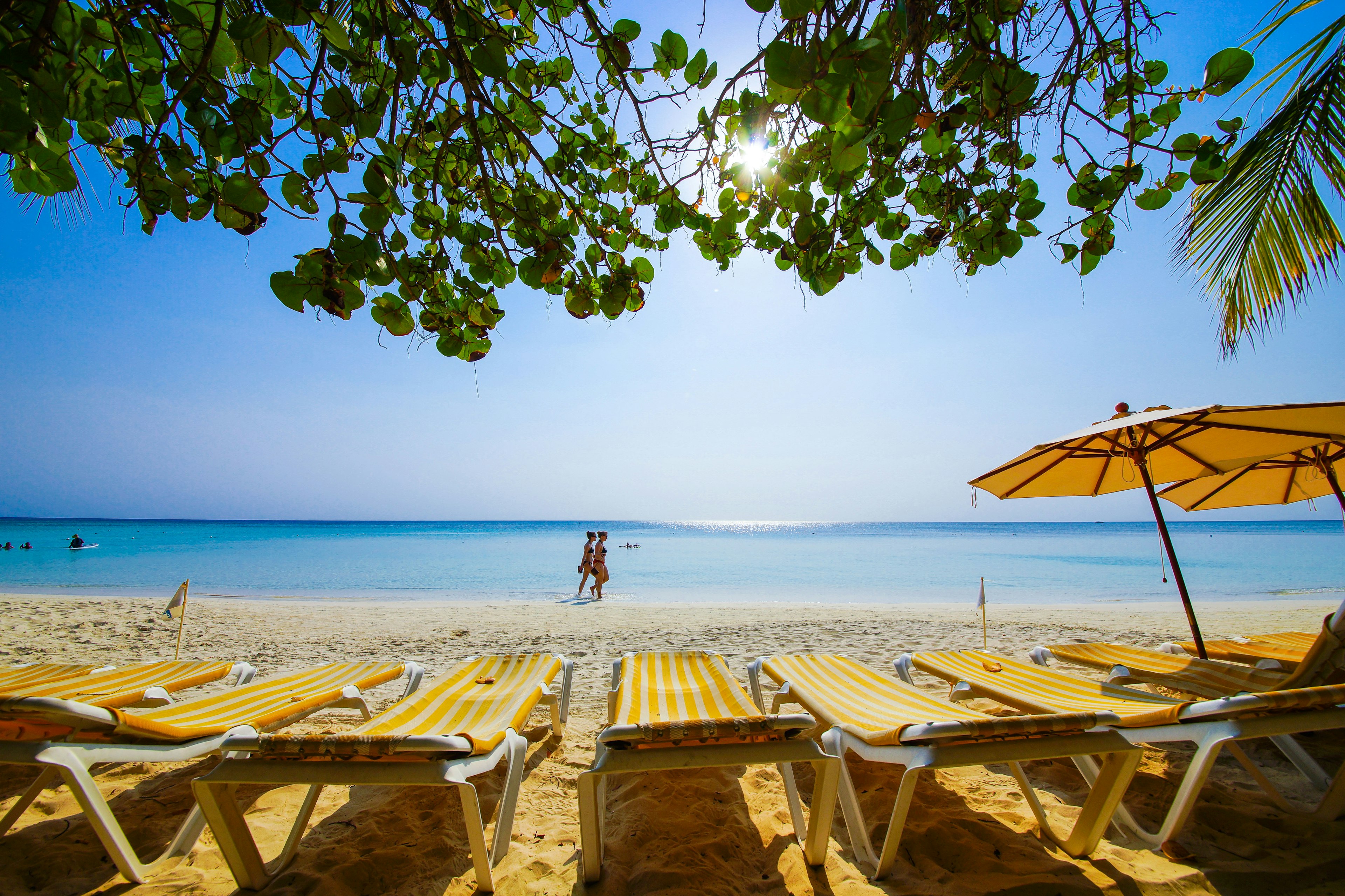 A row of yellow and white striped lounge chairs on the beach on a sunny day
