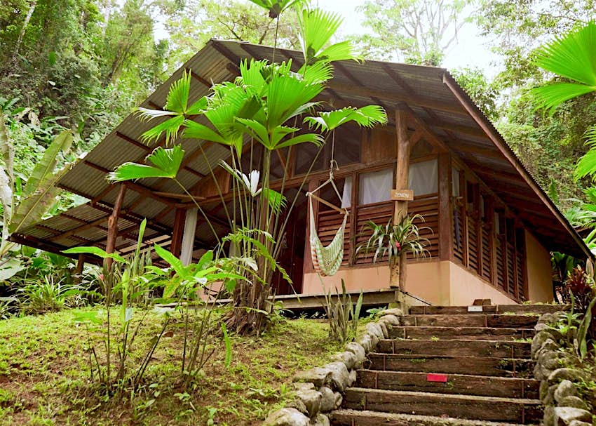Vista exterior de un Amazon Ecolodge de madera rodeado de árboles en Costa Rica 