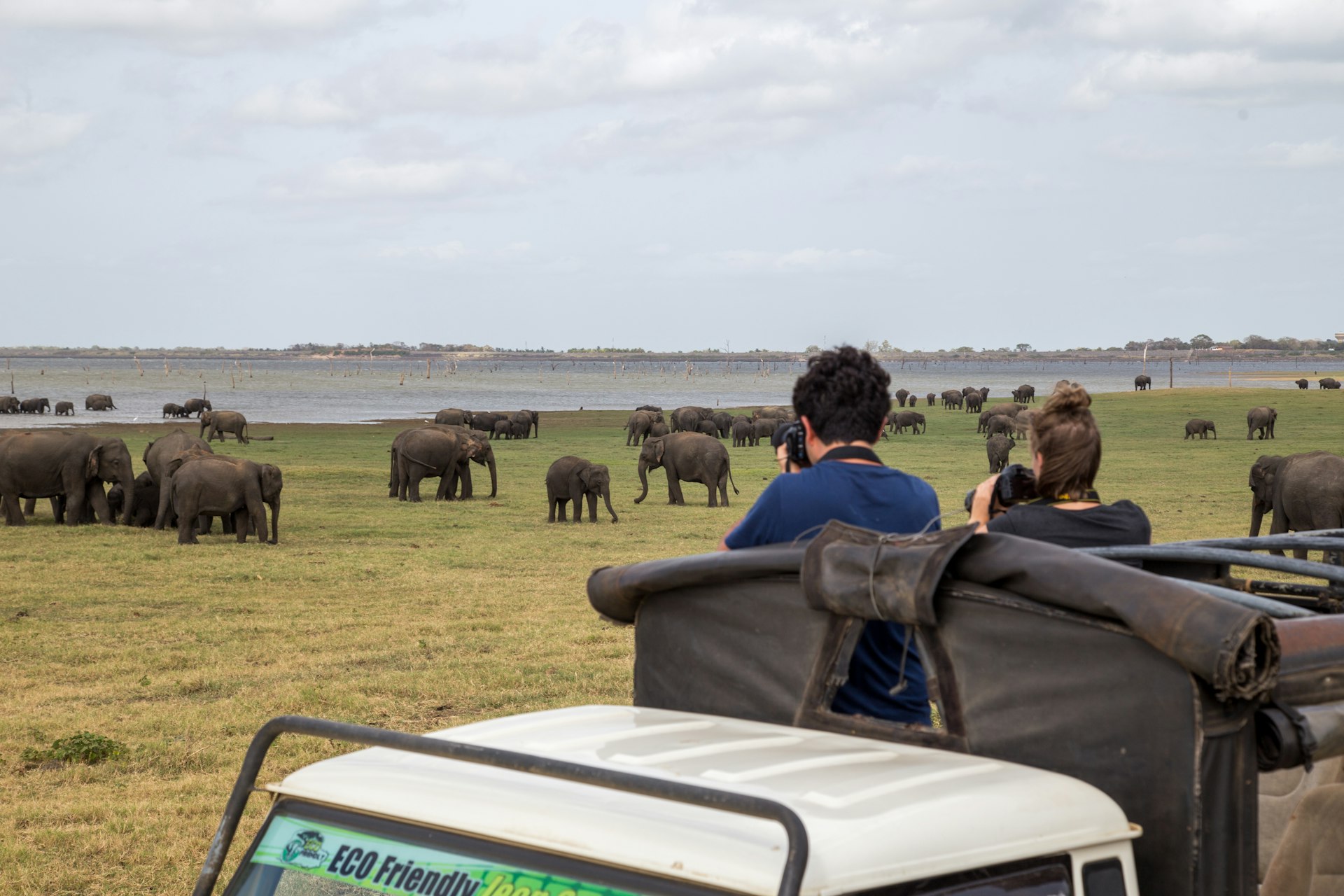 Two tourists take photos of elephants in the distance out the top of a safari van