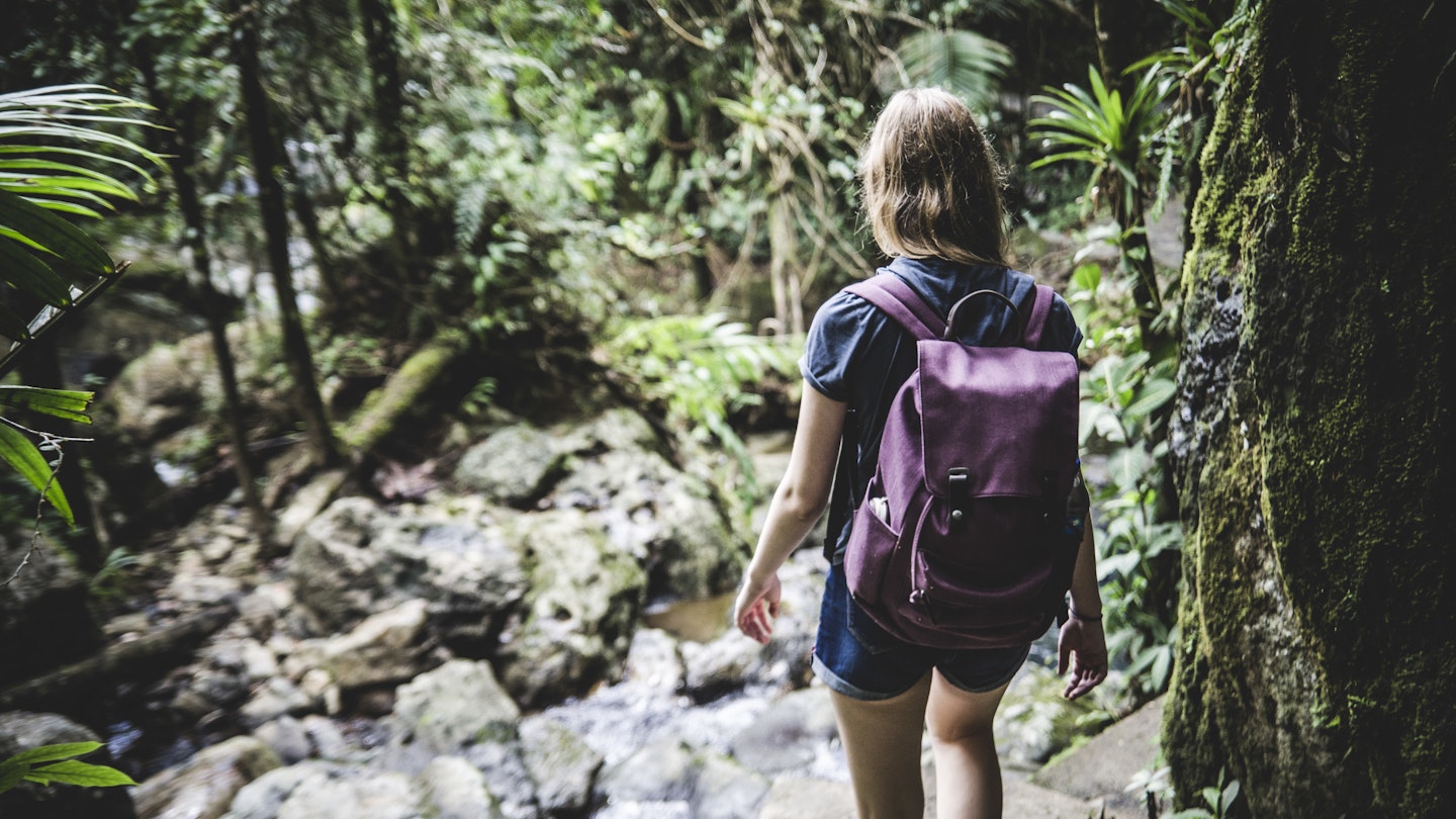 A woman walks down a path in the El Yunque Rainforest in Puerto Rico. 