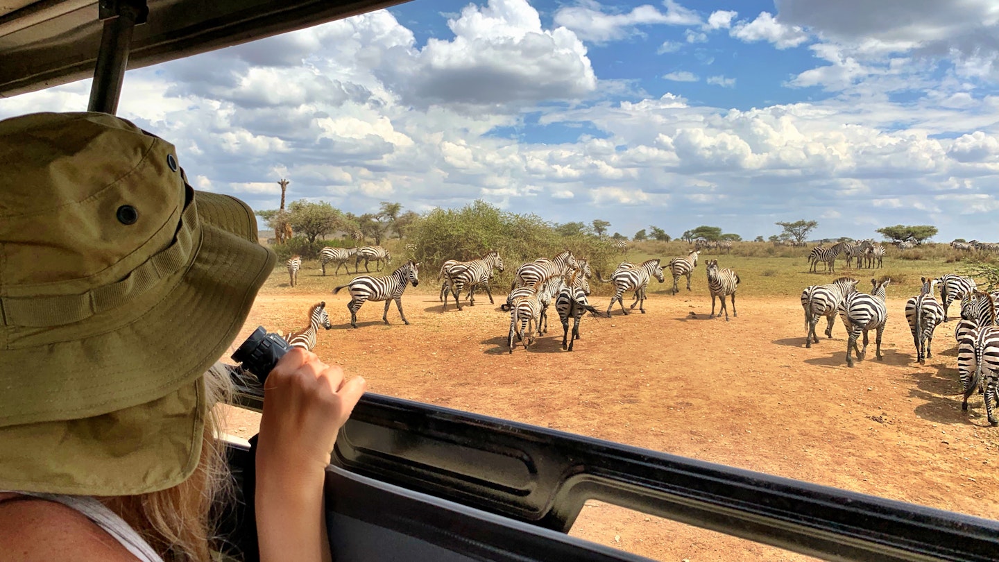 A tourist watches zebras on a safari in Tanzania