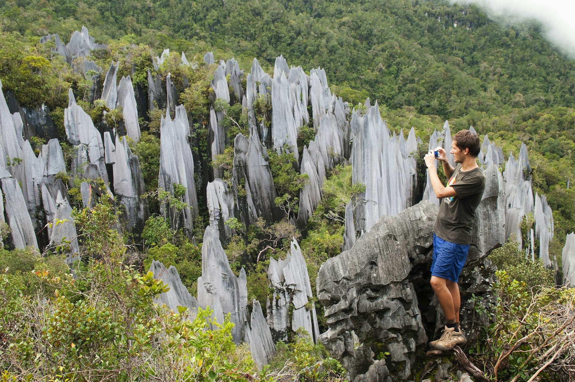 A hiker looks over the Pinnacles at Gunung Mulu National Park