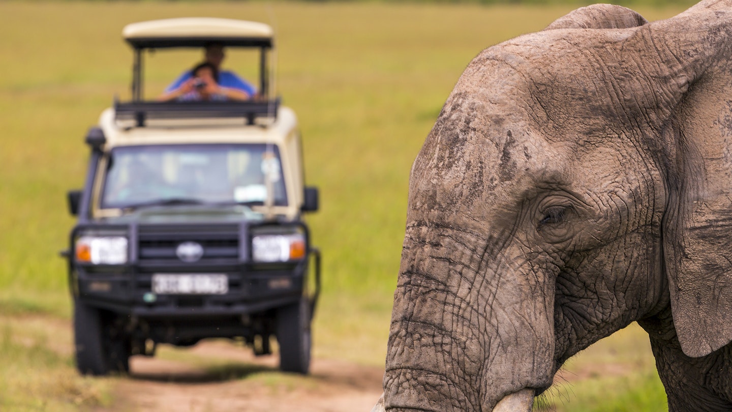 Wildlife viewing in Africa on Masai Mara Safari Tour