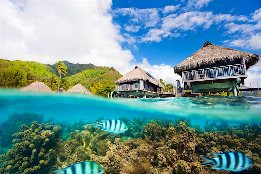 Beautiful above and underwater landscape of Moorea island in French Polynesia