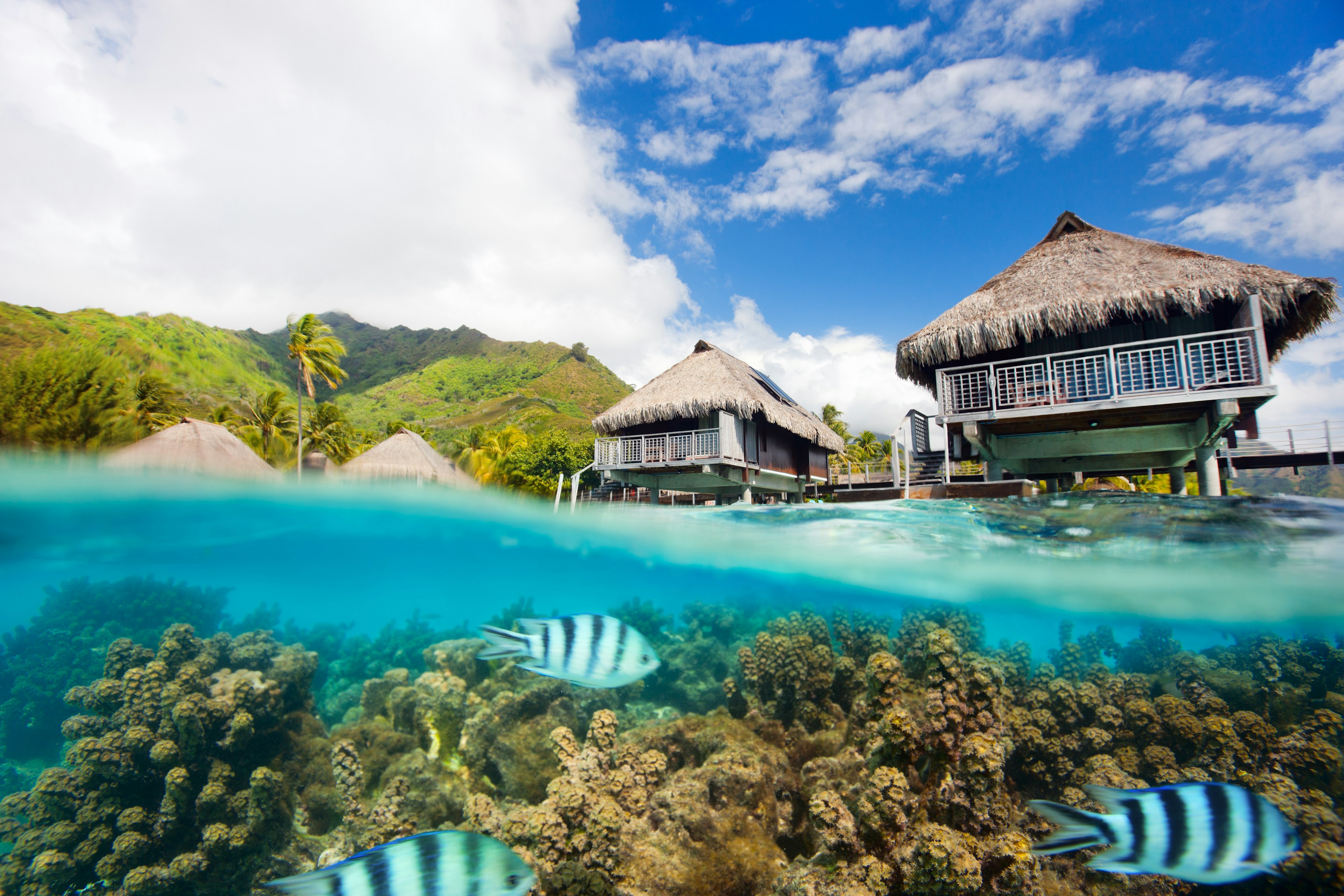 Beautiful above and underwater landscape of Moorea island in French Polynesia