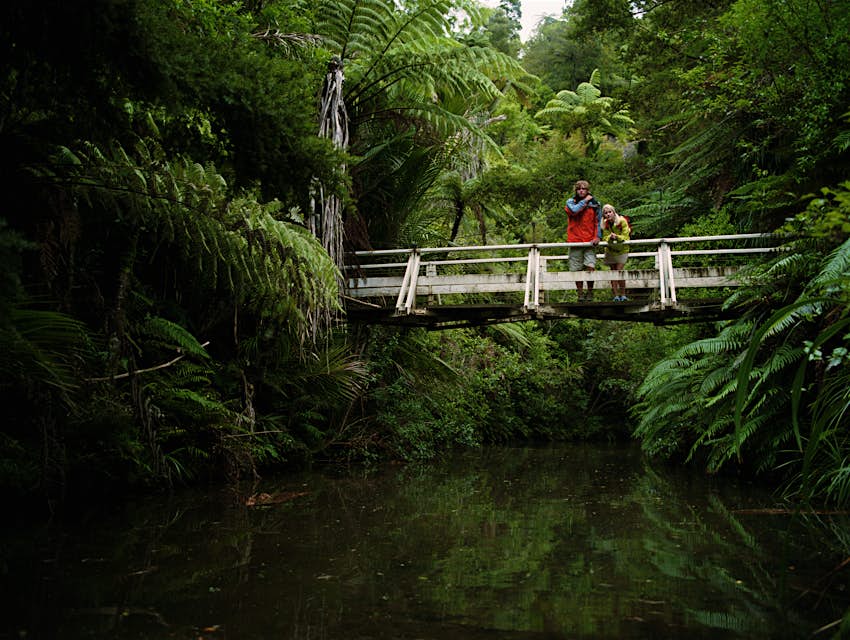 Young couple standing on rainforest bridge in Waitakere Ranges Park