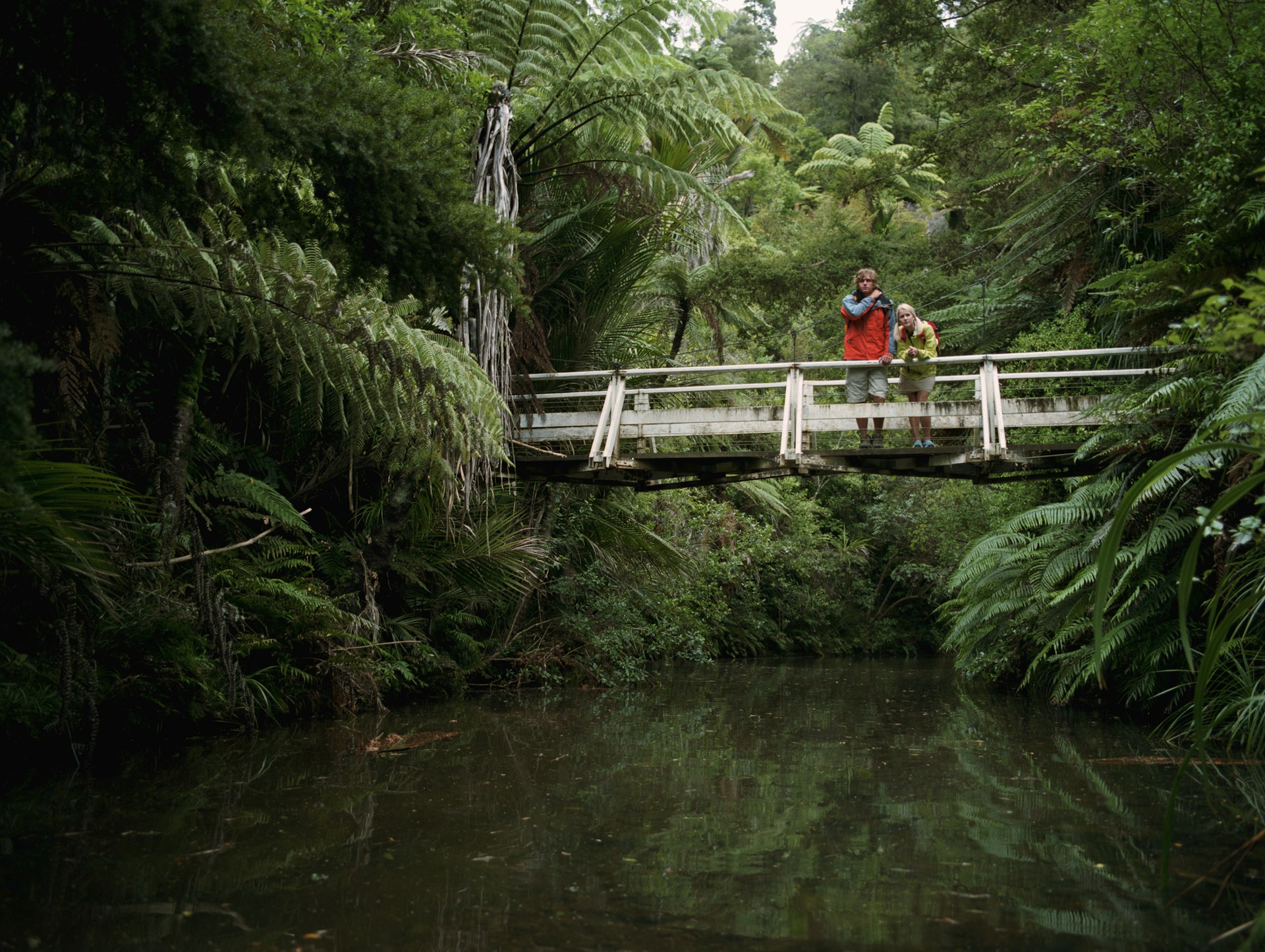 Young couple standing on bridge in the rainforest of the Waitakere Ranges Park