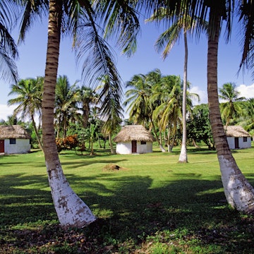 Palm trees and huts in Corozal District 