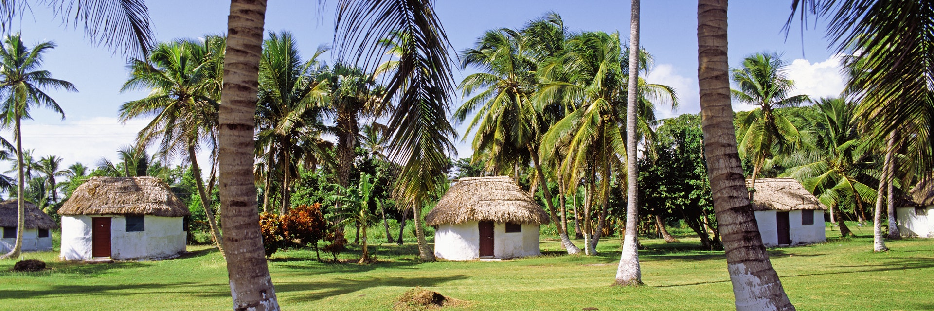 Palm trees and huts in Corozal District 