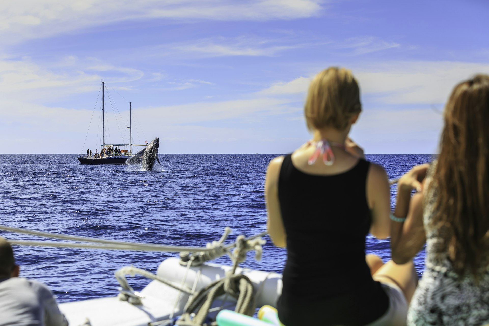 Whale watching in Cabo - adults on snorkel trip aboard Pez Gato, near Cabo San Lucas