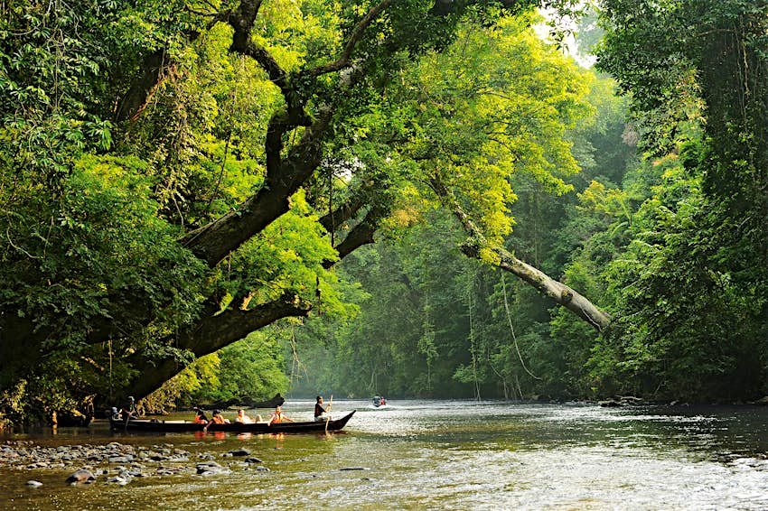 Tourist boats on a river in the jungle at Lata Berkoh in Taman Negara