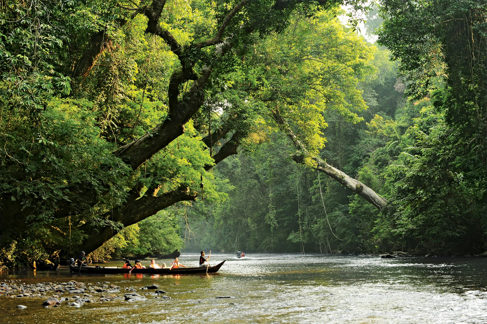 Tourist boats on a river in the jungle at Lata Berkoh in Taman Negara