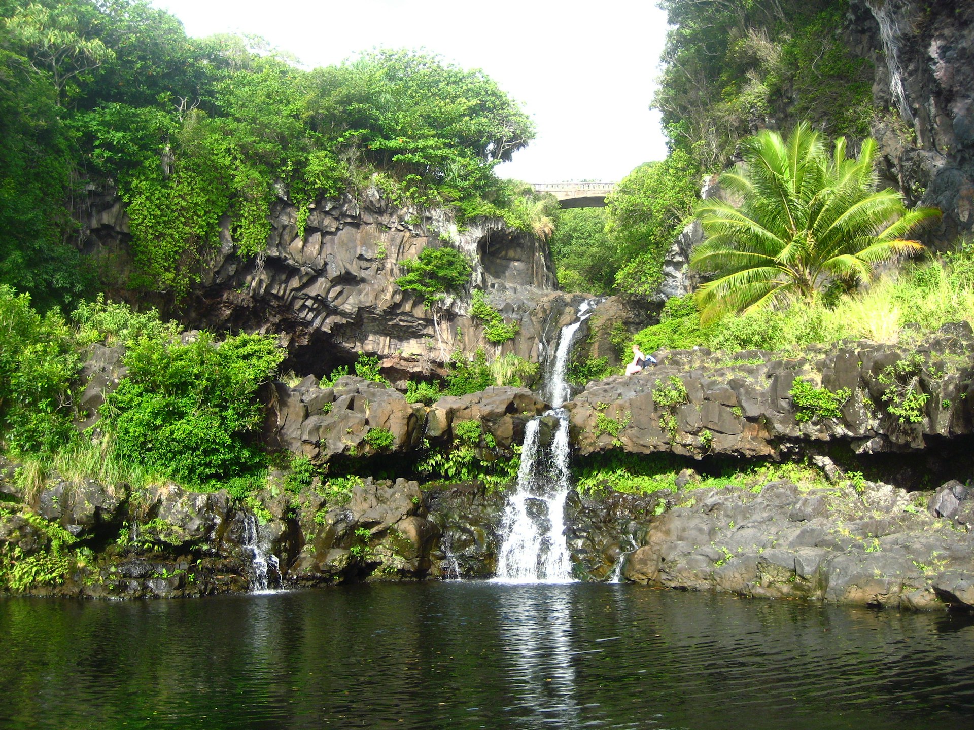 A waterfall and pool surrounded by lush forest at O'heo Gulch, Seven Sacred Pools