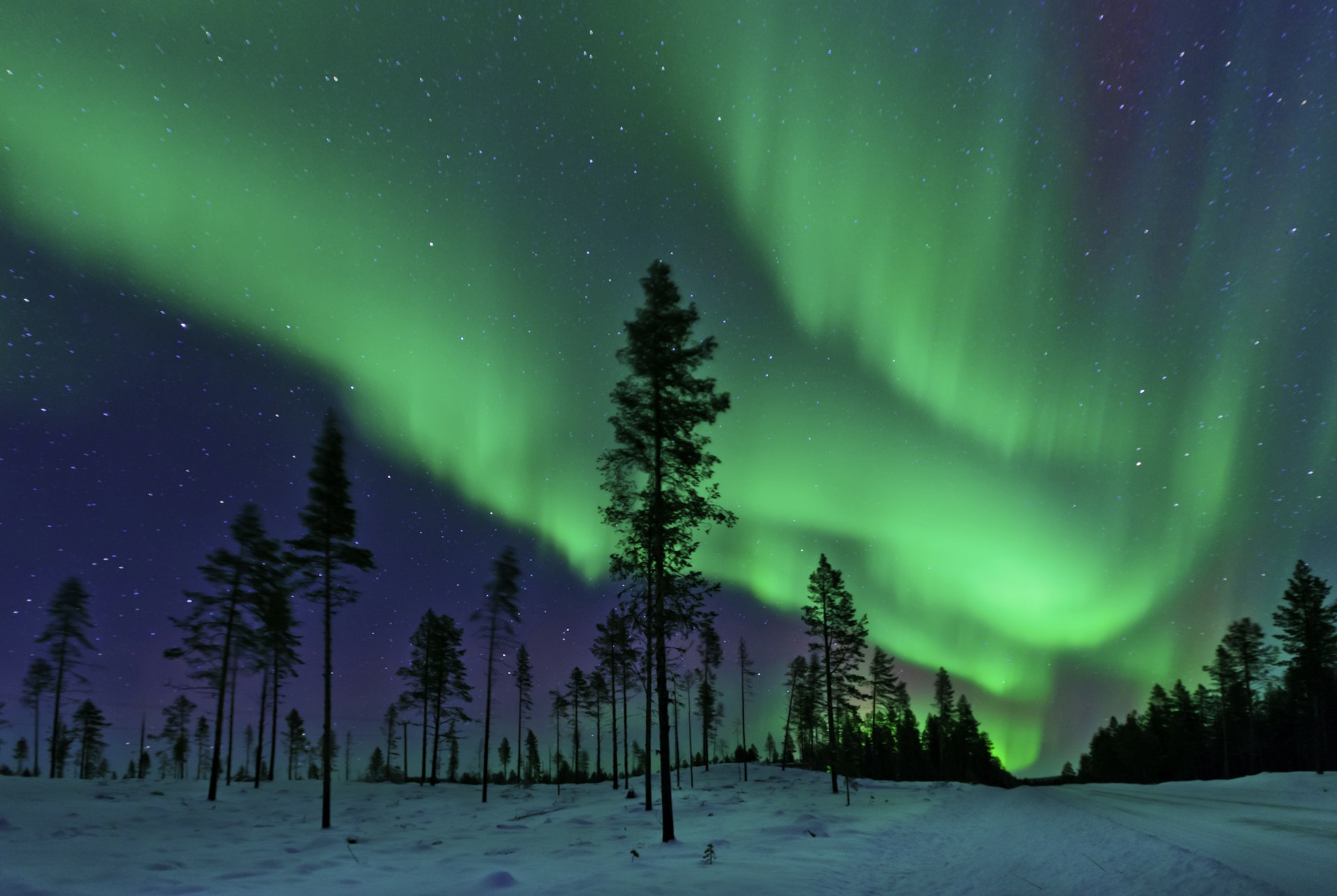 The lights of aurora borealis shine over northern Sweden. 