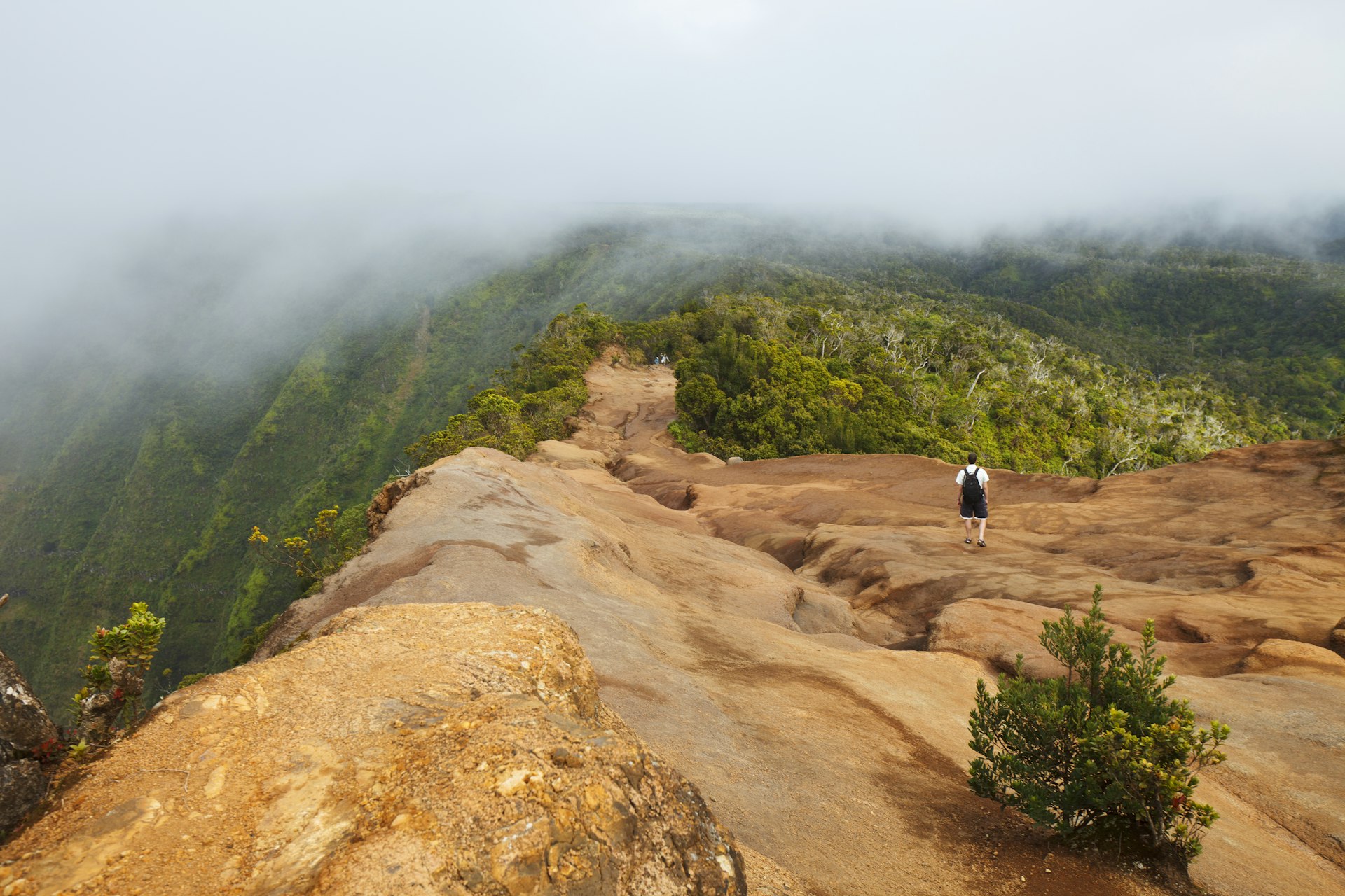 A male hiker on the Pihea Trail in Koke'e State Park on the island of Kauai, with clouds gathering above the Kalalau Valley, making the hiking trail mysterious and heavenly