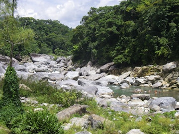 Swimming in river by Rainforest along Bouders Rio Cangrejal, Pico Bonito National Park, La Ceiba Atlantida Honduras